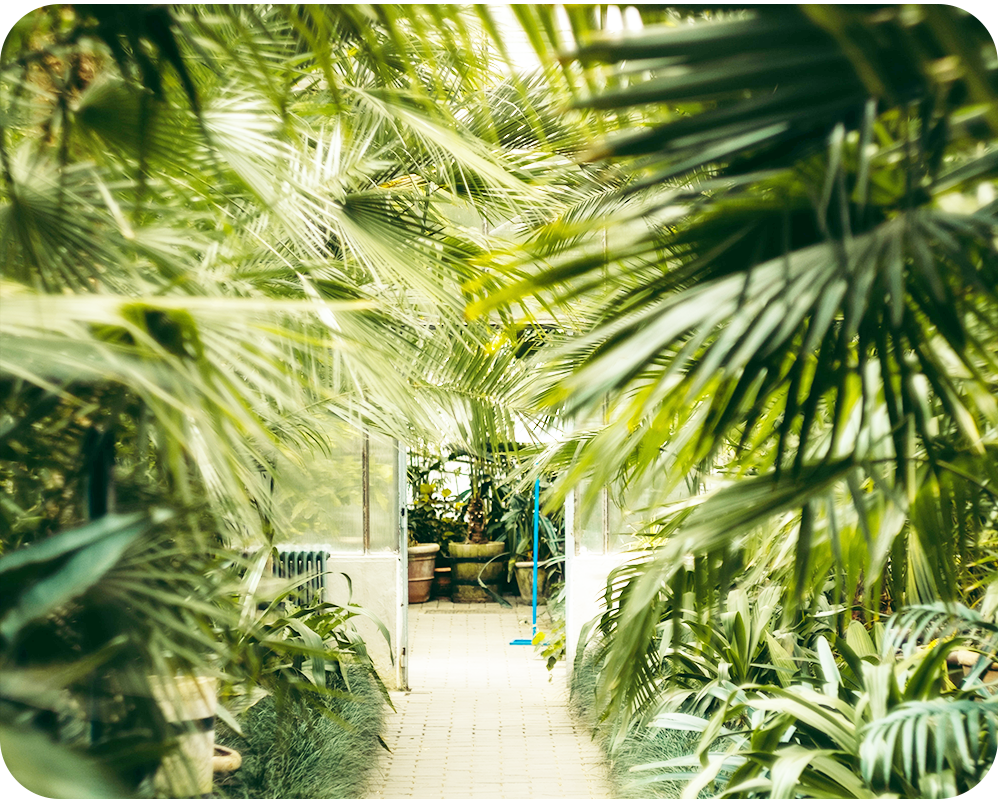 店写真3