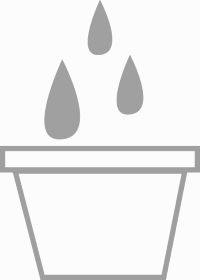 水やり