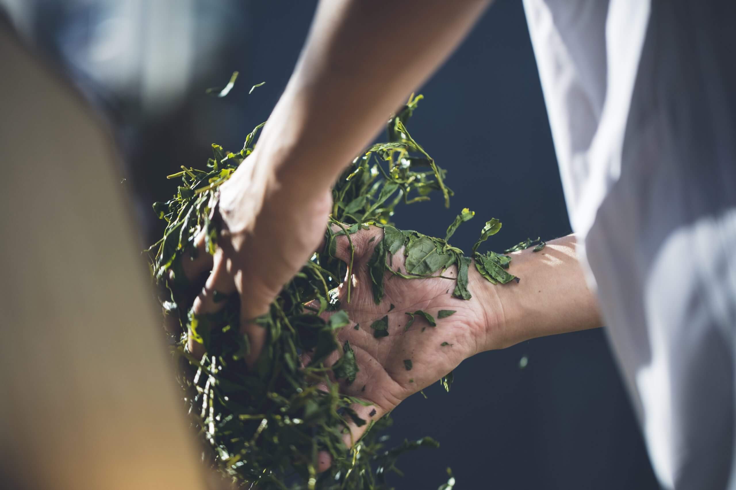 職人さんが茶葉を焙煎している
