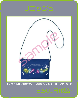 サコッシュ2,500円