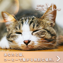 cat-cafe-meow
