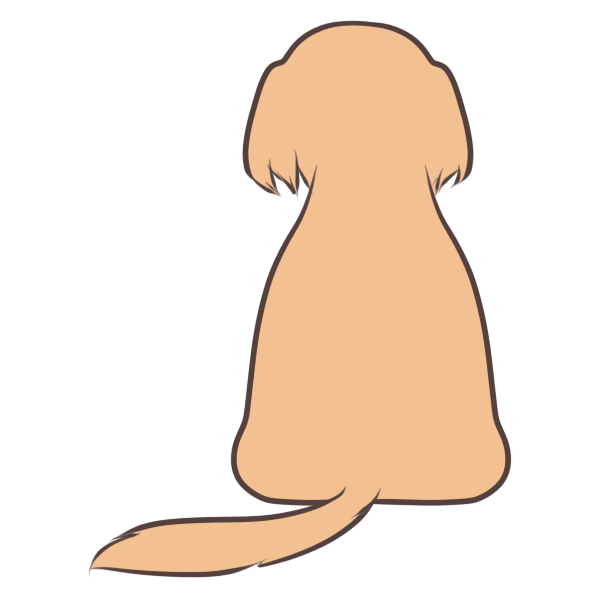 振り向く犬