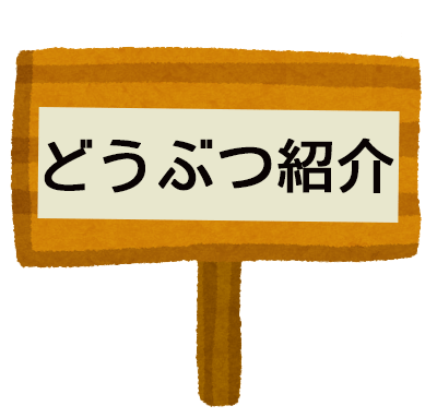 どうぶつ紹介