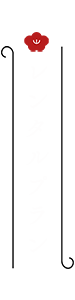 レンタルプラン