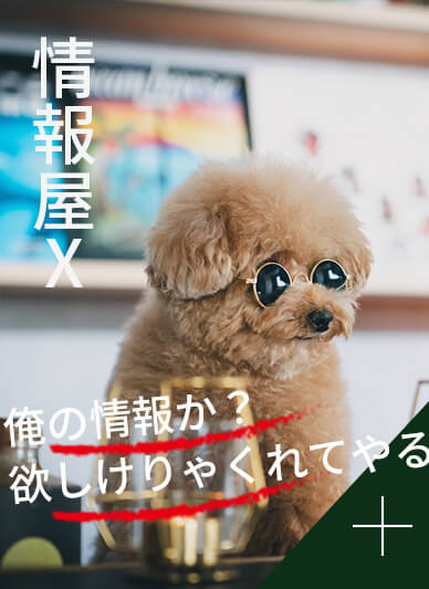 相関図探偵x