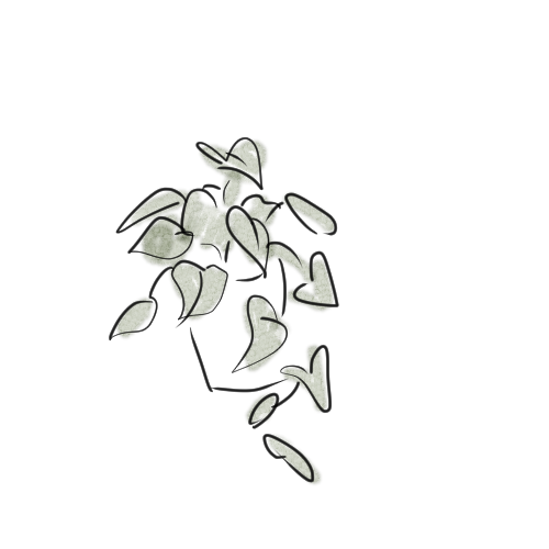 イラスト