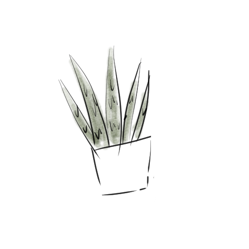 イラスト