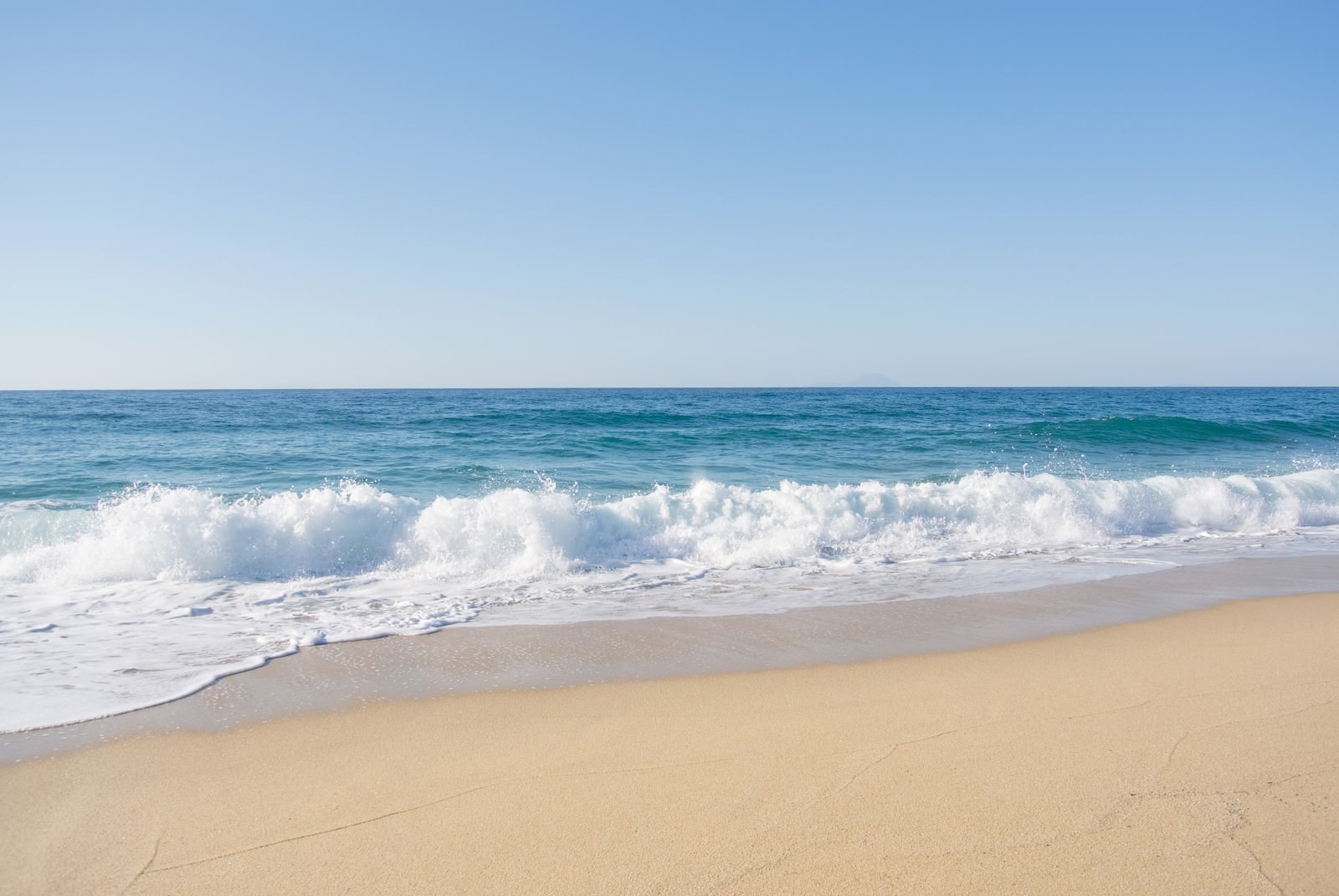 海