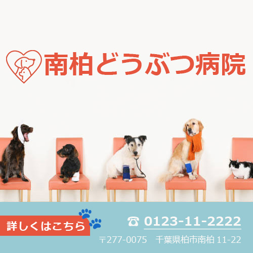 南柏どうぶつ病院