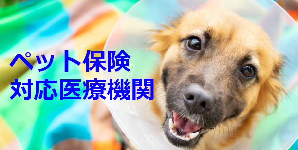 バナー