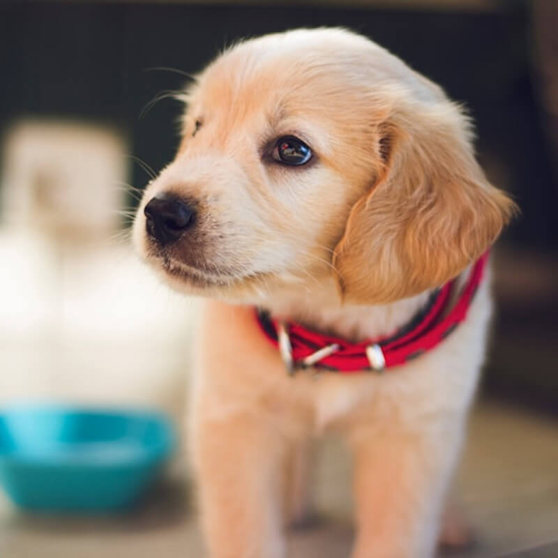 制作例2