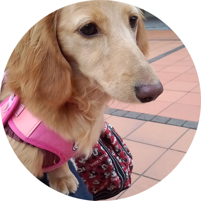 Fifiちゃんのプロフィール画像
