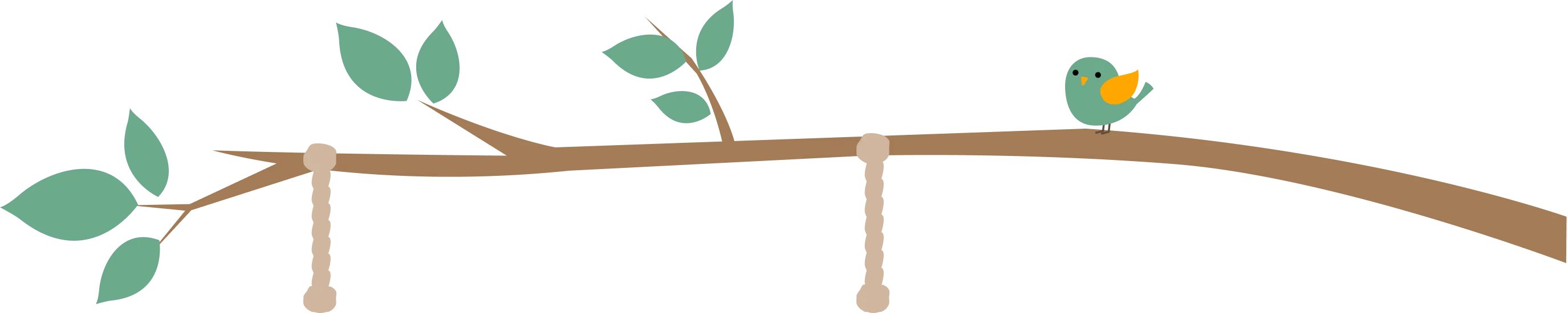 枝