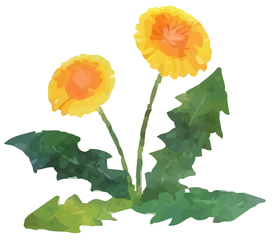 花のアイコン