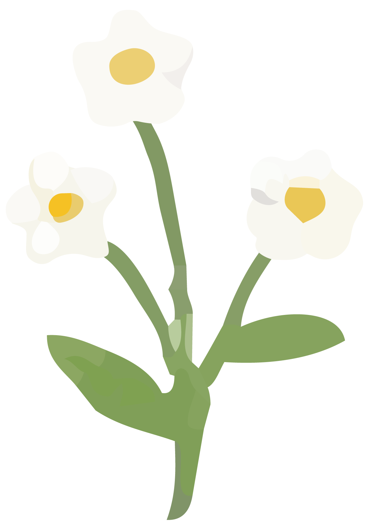 花のあしらい